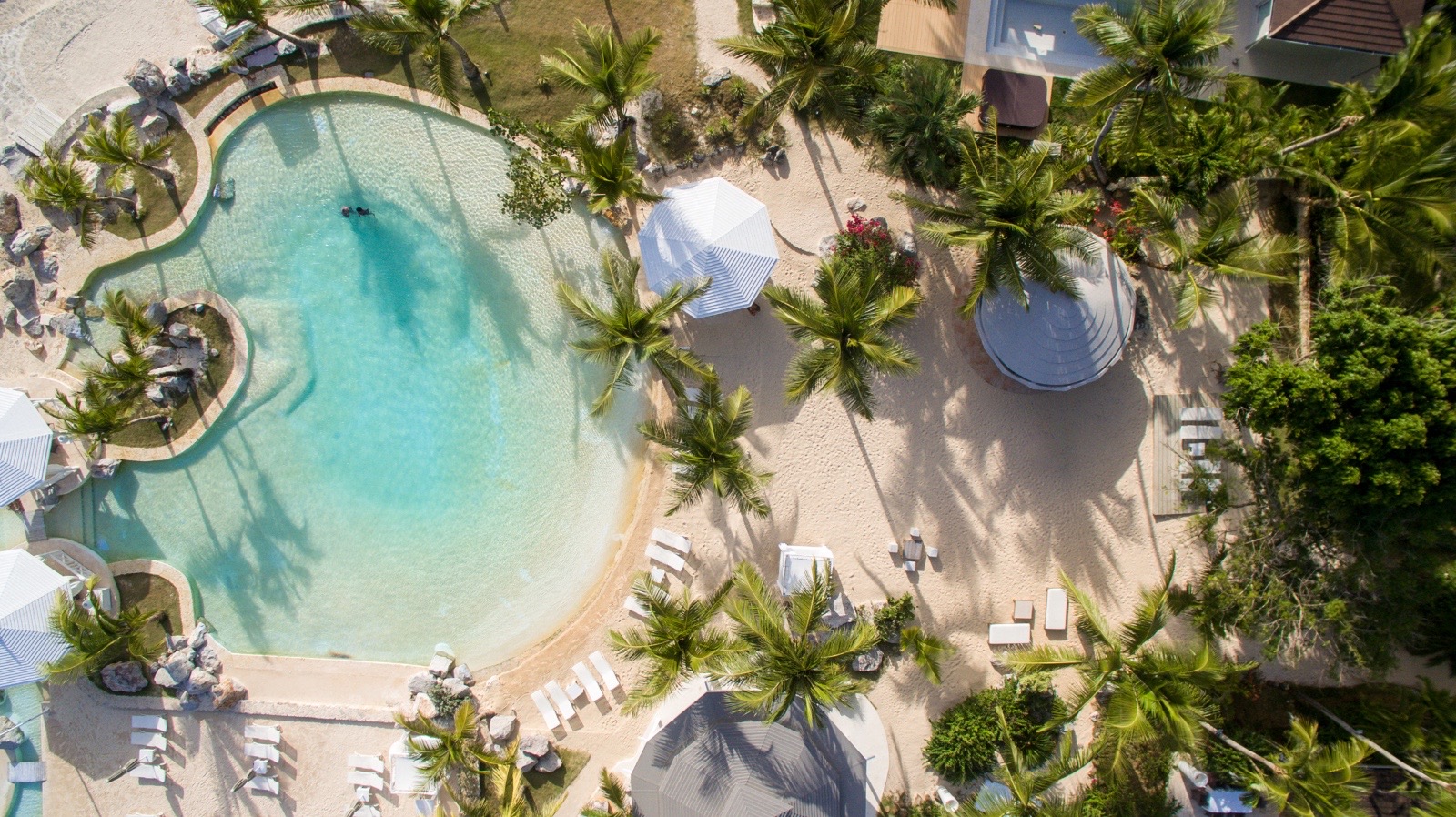 Feriebolig i Caribien med pool og palmer set fra oven